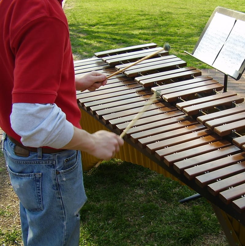 Glockenspiel Xylophone